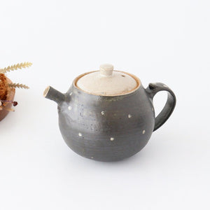 Japanese Teapot Dot | Kyusu Shigaraki Ware