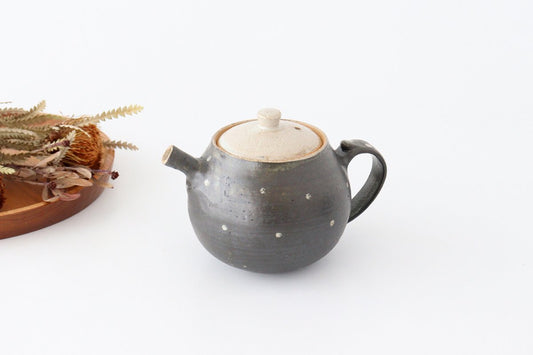 Japanese Teapot Dot | Kyusu Shigaraki Ware