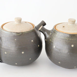 Japanese Teapot Dot | Kyusu Shigaraki Ware