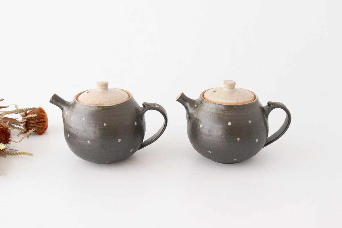 Japanese Teapot Dot | Kyusu Shigaraki Ware