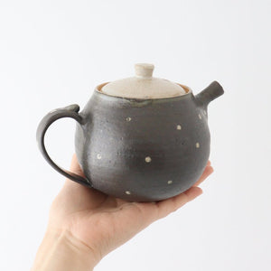 Japanese Teapot Dot | Kyusu Shigaraki Ware