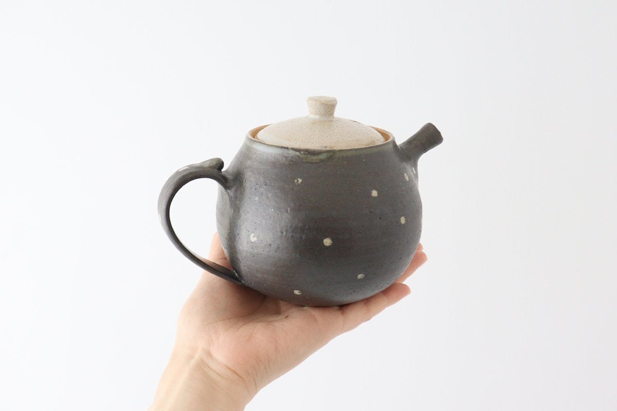 Japanese Teapot Dot | Kyusu Shigaraki Ware