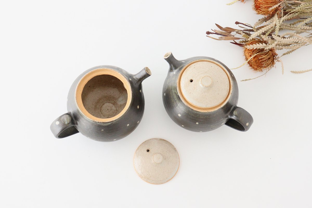 Japanese Teapot Dot | Kyusu Shigaraki Ware