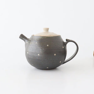 Japanese Teapot Dot | Kyusu Shigaraki Ware