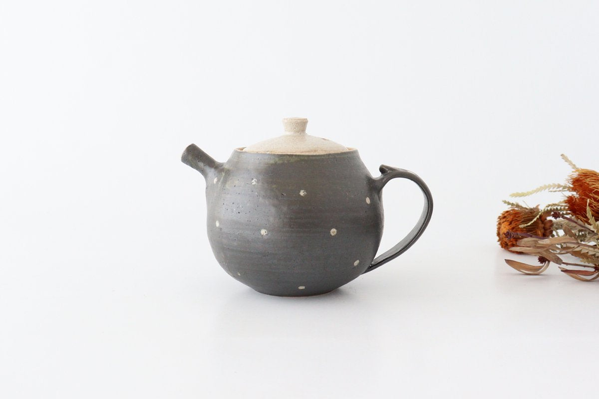 Japanese Teapot Dot | Kyusu Shigaraki Ware