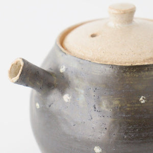 Japanese Teapot Dot | Kyusu Shigaraki Ware