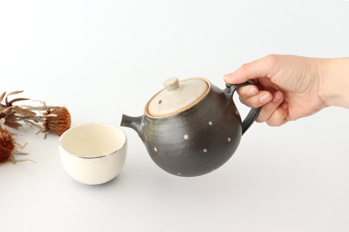 Japanese Teapot Dot | Kyusu Shigaraki Ware