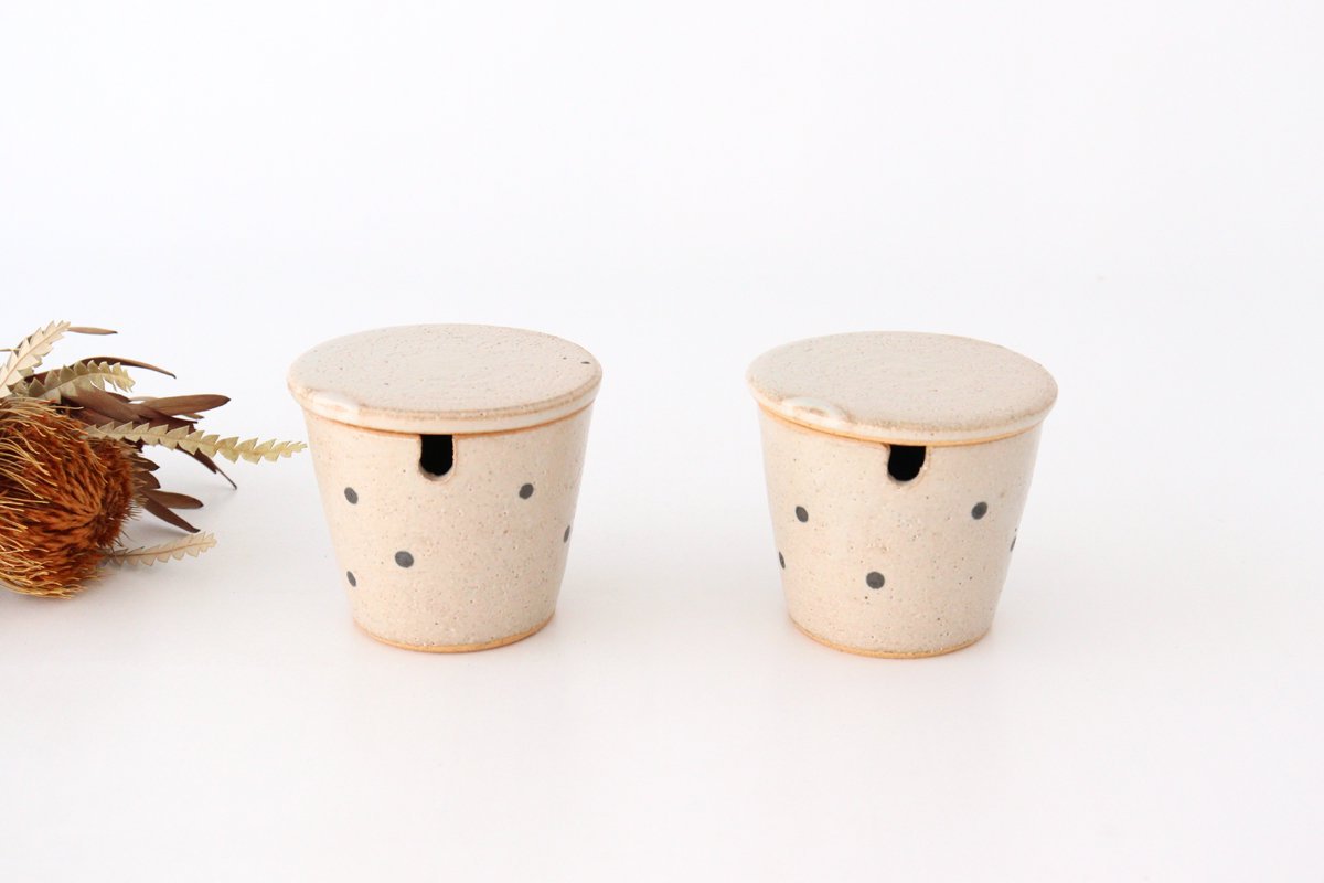 Sugar Pot White Dot | Shigaraki Ware