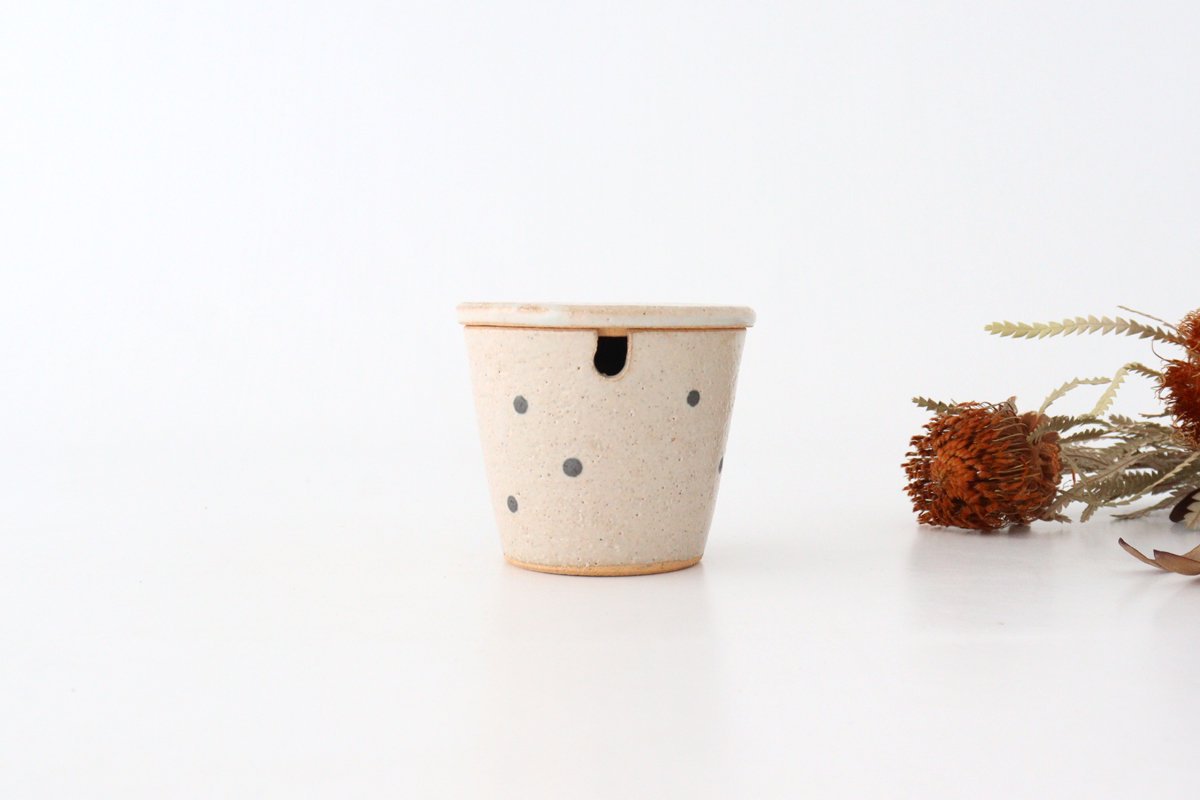 Sugar Pot White Dot | Shigaraki Ware