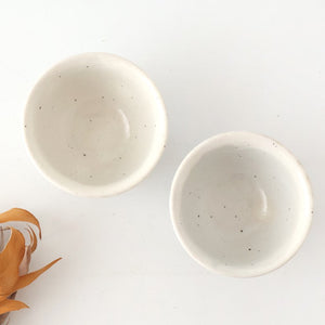 Japanese Cup For Sencha White-shaving | Yunomi Mino Ware