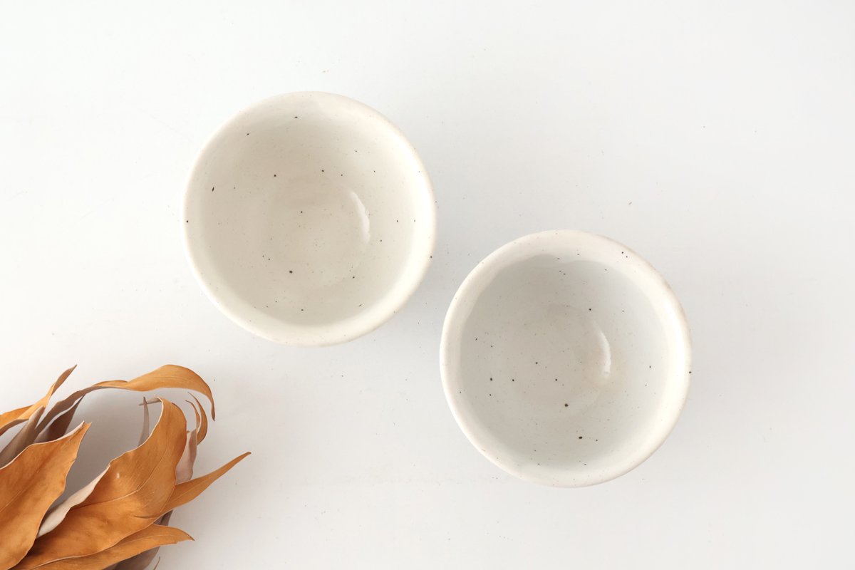 Japanese Cup For Sencha White-shaving | Yunomi Mino Ware