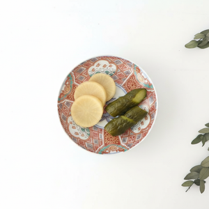 Rinkurou Kiln Plate Plover and Pomegranate Pattern | Hasami Ware