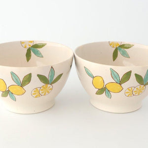 Donburi Bowl Lemon | Hasami Ware