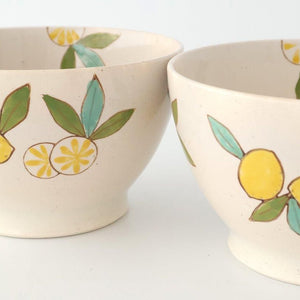 Donburi Bowl Lemon | Hasami Ware