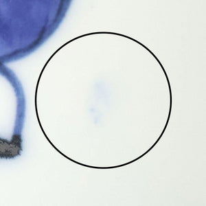 Rice Bowl Blue Camellia | Arita Ware