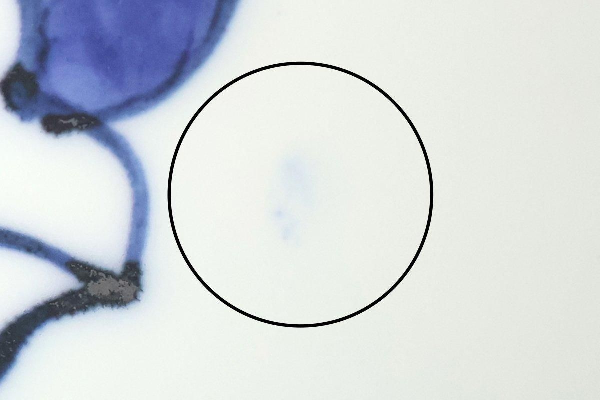 Rice Bowl Blue Camellia | Arita Ware