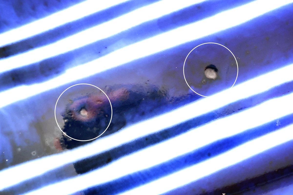 Rectangle Plate Bule and White Stripes | Sushi Plate Arita Ware