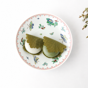 Deep Plate Butterfly Pattern 18㎝/7in | Hasami Ware