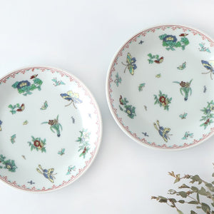 Deep Plate Butterfly Pattern 18㎝/7in | Hasami Ware