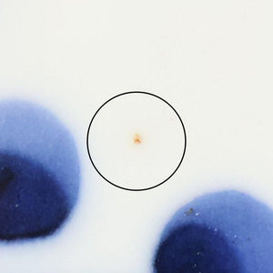 Yoshida Ware Round Plate Flower-dot 15cm/5.9in