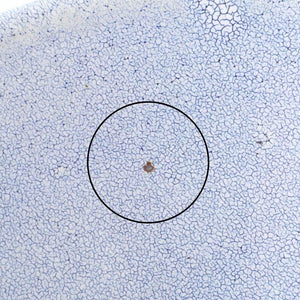 Bowl Blue Kairagi 20.5cm/ 8in | Kobachi Mino ware