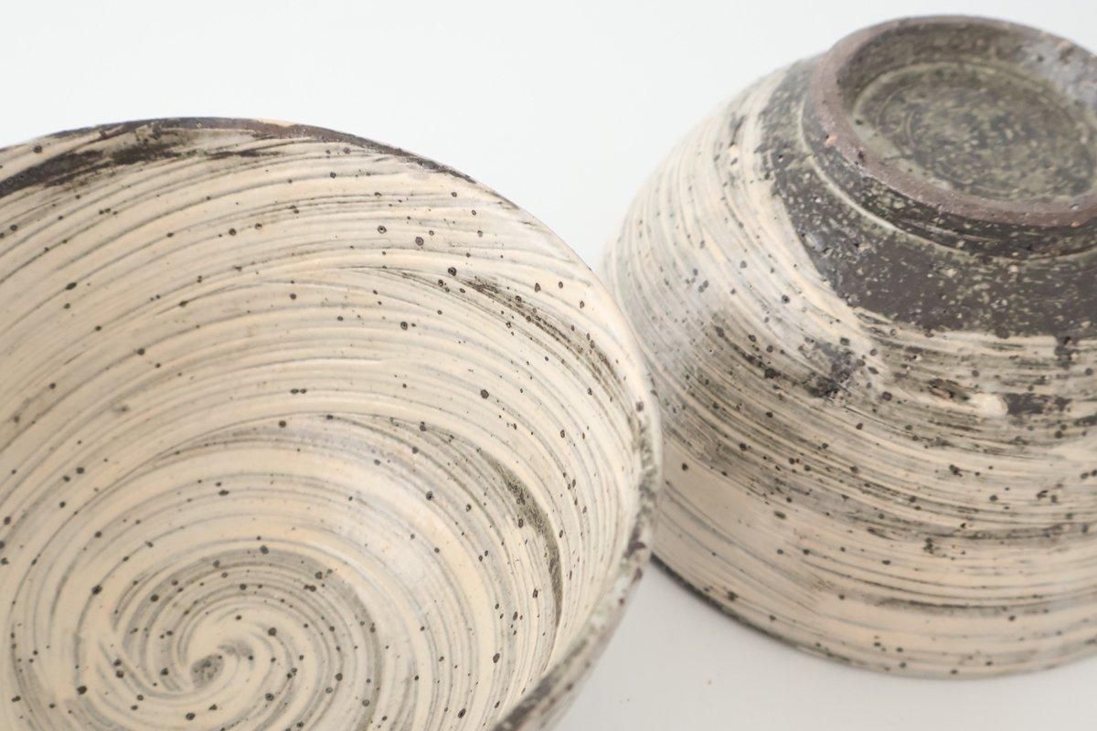 Donburi Bowl White Storm | Shigaraki Ware