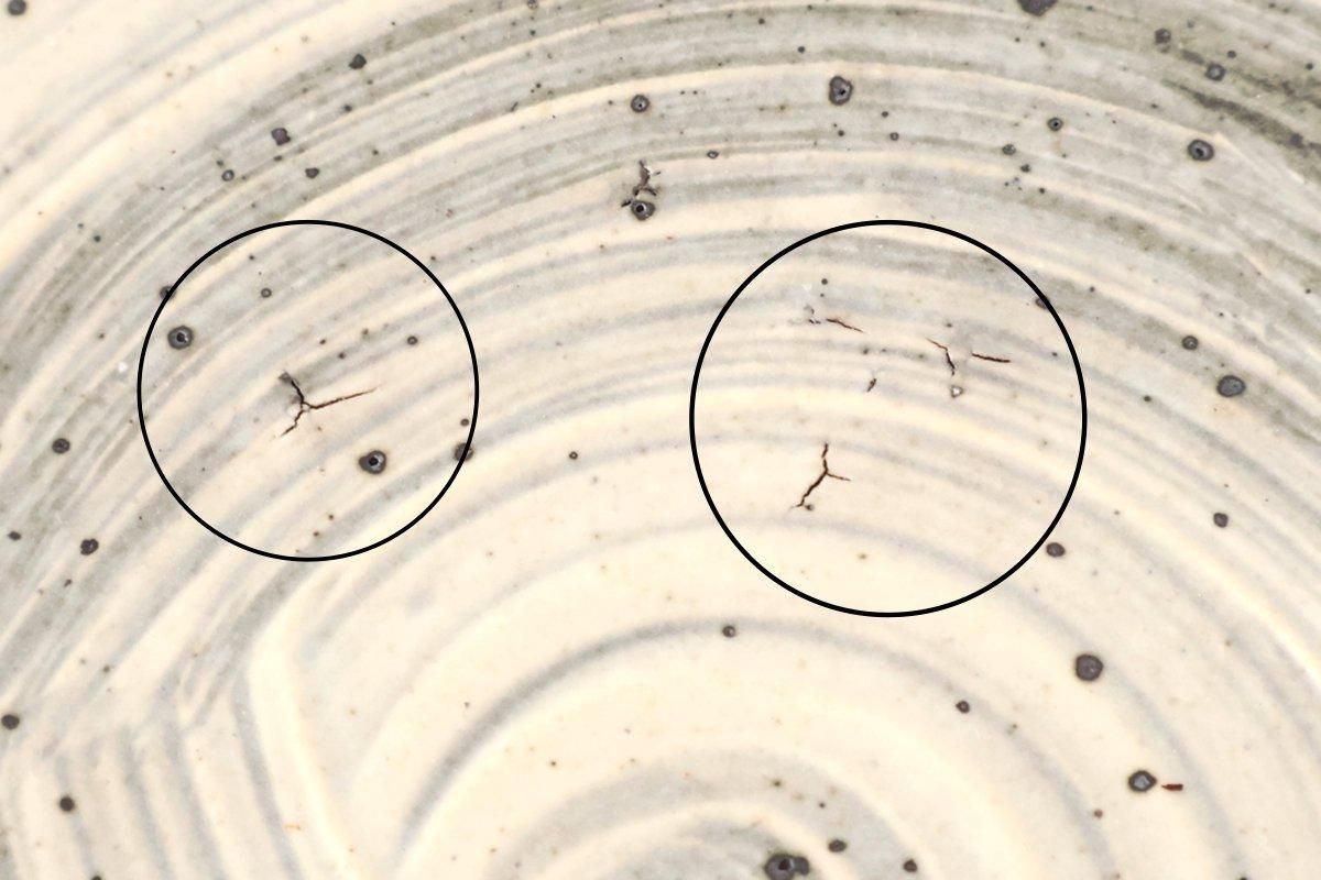 Donburi Bowl White Storm | Shigaraki Ware