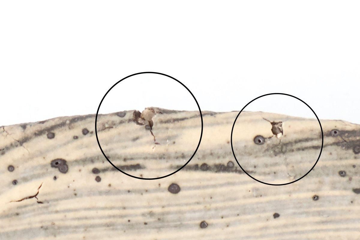 Donburi Bowl White Storm | Shigaraki Ware