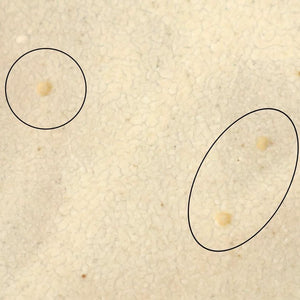 [UTSUWABI special order]Oval Bowl Matte Ash M | Serving Bowl Mino Ware