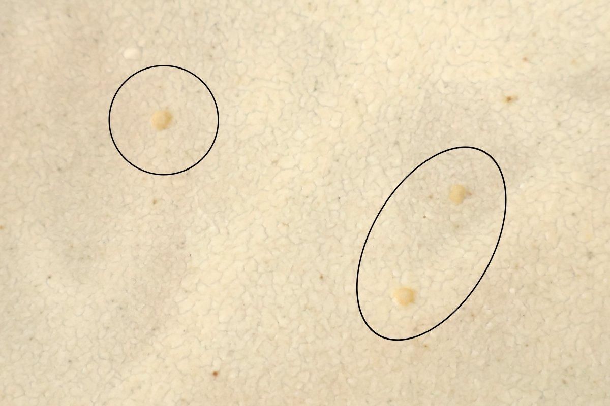 [UTSUWABI special order]Oval Bowl Matte Ash M | Serving Bowl Mino Ware