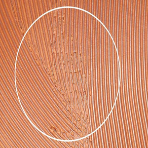 Motoshige Pottery Mortar Matte White Medium | Iwami Ware