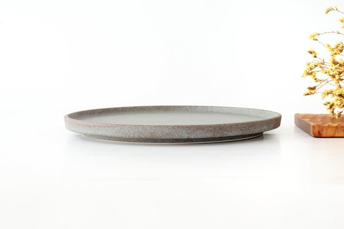 Vega Round Plate Blue 26㎝/10.2in | Mino Ware