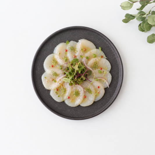 Vega Round Plate Black 23.0cm /9.05in | Mino Ware