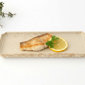 Vega Rectangle Plate Ivory | Sushi Plate Mino Ware
