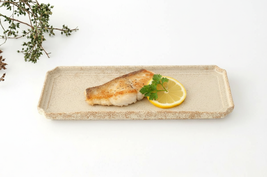 Vega Rectangle Plate Ivory | Sushi Plate Mino Ware