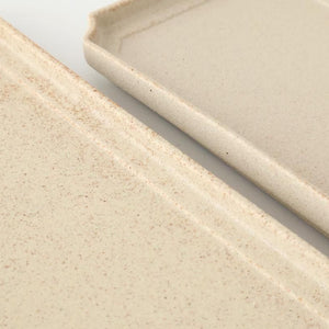 Vega Rectangle Plate Ivory | Sushi Plate Mino Ware