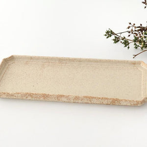 Vega Rectangle Plate Ivory | Sushi Plate Mino Ware