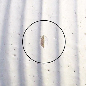 Tohzan-Gama Multi-use Bowl White and Brown | Mino Ware