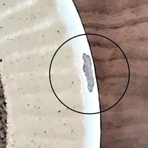 Tohzan-Gama Small Bowl White and Brown 15cm/6in | Kobachi Mino Ware