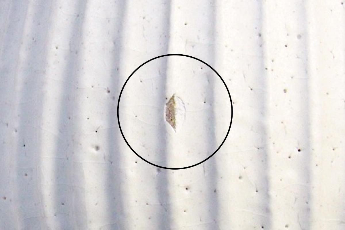 Tohzan-Gama Round Mug Cup White and Brown | Mino Ware