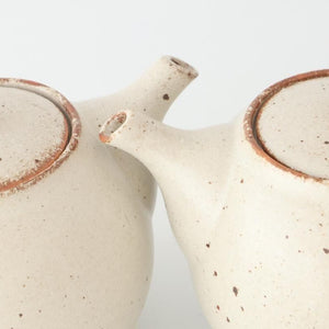 Japanese Teapot Shino | Kyusu Mino Ware