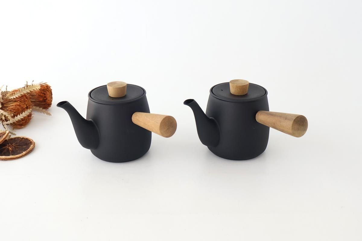 Miyazaki Seisakusho Stainless Teapot Black S | Kyusu
