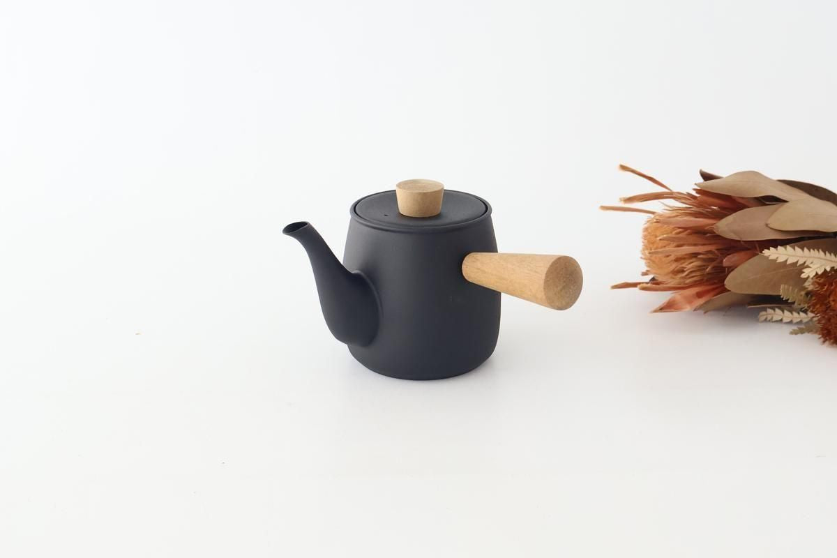 Miyazaki Seisakusho Stainless Teapot Black S | Kyusu