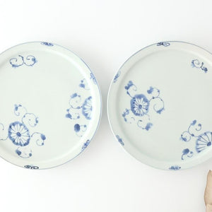 Round Flat Plate Blue Chrysanthemum 21㎝/8.3in | Arita Ware