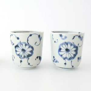 Japanese Cup Chrysanthemum | Yunomi Arita Ware