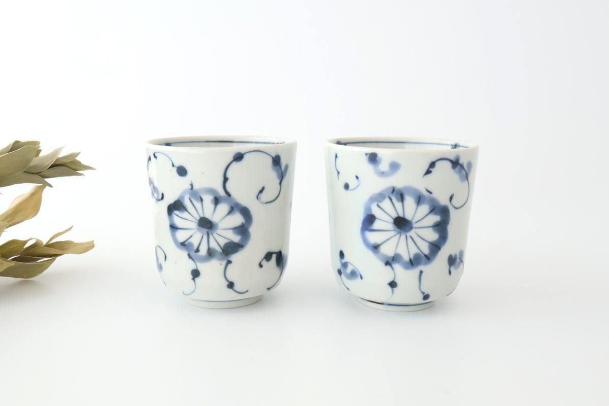 Japanese Cup Chrysanthemum | Yunomi Arita Ware