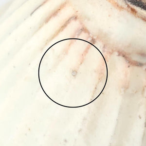 Furutani Seitosho Sake Cup Guinomi Shinogi White