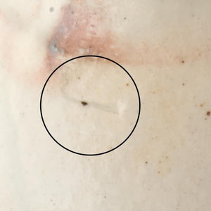 Furutani Seitosho Flower-shaped Japanese Cup White | Yunomi