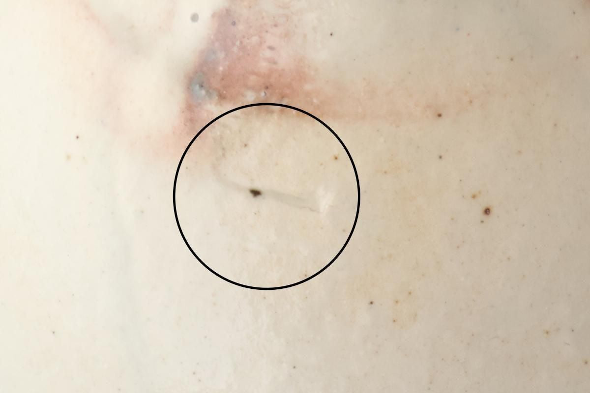 Furutani Seitosho Flower-shaped Japanese Cup White | Yunomi