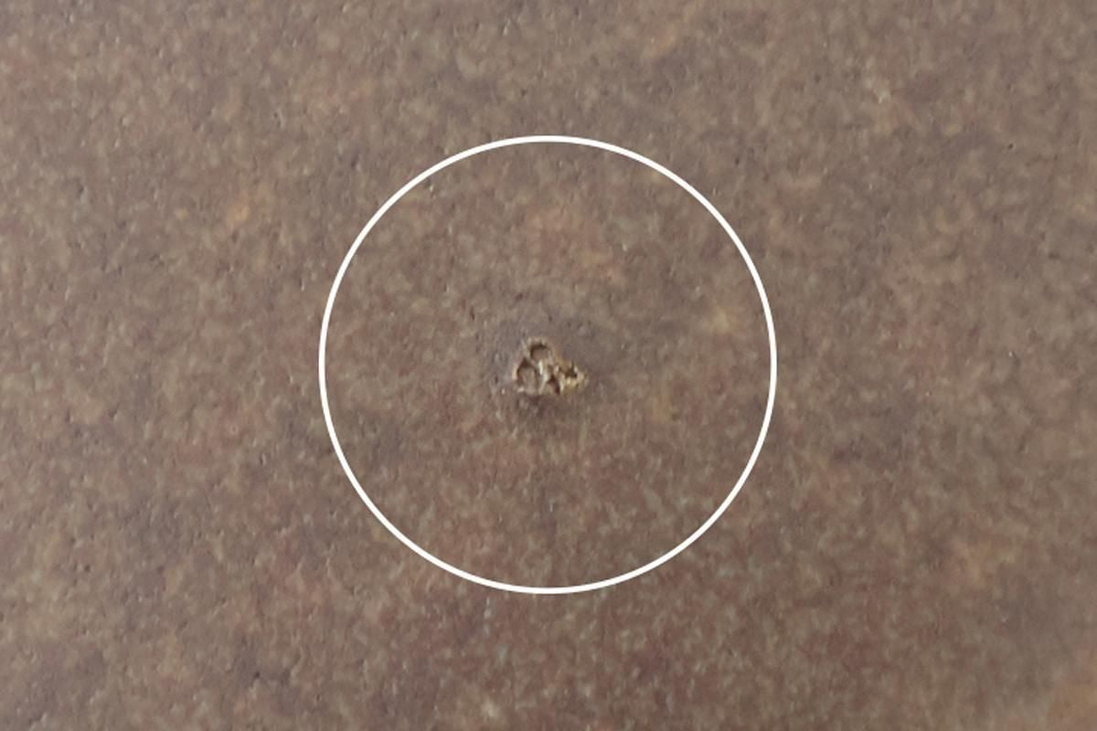 Furutani Seitosho Apple-shaped Plate Dark Brown L